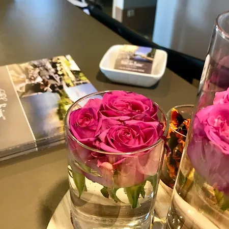 מלון Des Bains פיג'אק