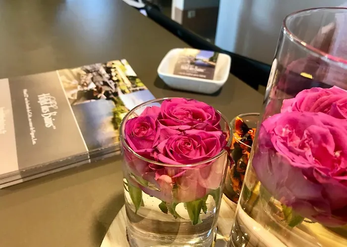 Hotel Des Bains Figeac