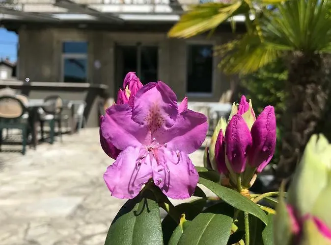 Hotel Des Bains Figeac